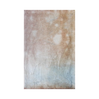 Japanese Woodblock Print of Two White Herons in the Snow Published by Watanabe c. 1950