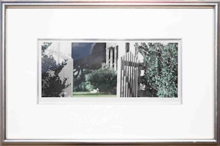 "Hawkins Ranch" Green-Toned Modern Contemporary Colored Landscape Photograph 2/2 1997