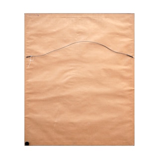 Twentieth-Century Earth-Toned Naturalistic Print of Various Insects 20th Century