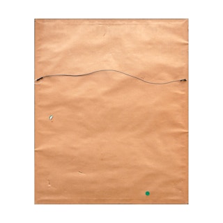 Twentieth-Century Earth-Toned Naturalistic Pochoir Print of Various Insects