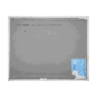 "Early Morning" Wichita Mountain Wildlife Refuge, Oklahoma Desert Landscape Mid-20th Century