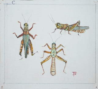 "Study of Crickets" Green and Brown Abstract Watercolor Illustration of Crickets Mid-20th Century