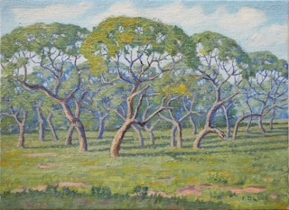 “Afternoon Shadows” Goose Island State Park, TX Green Toned Landscape Mid-20th Century