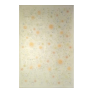 "No. 2125P" Contemporary Orange & Green Semi-Transparent Mixed Media Painting 2002