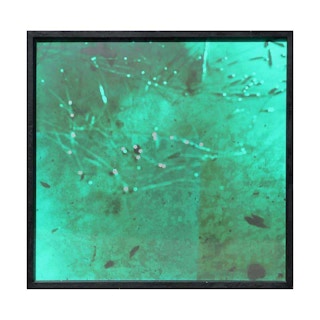 "Untitled" Green and Metallic Abstract Photograph 1988
