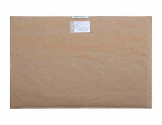 "Bulbs Growing" Modern Abstract Geometric Serigraph Edition 9 of 15  1972