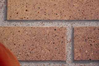 "Mid Summer" Modern Realist Still Life Study of Pink Flower Against a Brick Wall 1970s-1980s