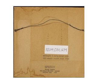 Shell Engraving of a Triton Type, 20th Century