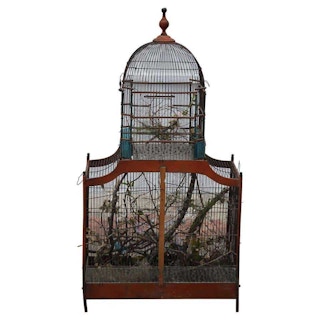 19th Century Victorian Cupola Bird Cage