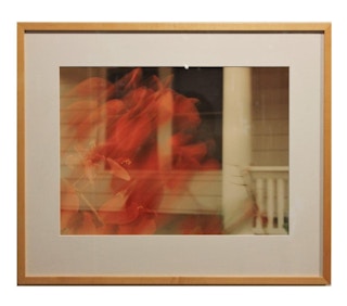 Double Exposure Red Floral Abstract Photograph with Architectural Background 21st Century