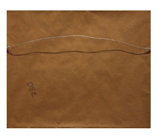 Double Exposure Red Floral Abstract Photograph with Architectural Background 21st Century