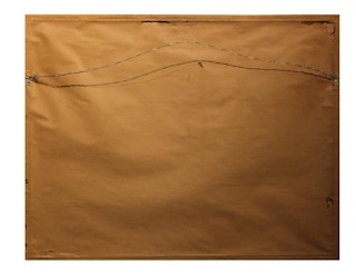 Large Scientific Botanical Engraving of Flowers and Seeds 20th Century