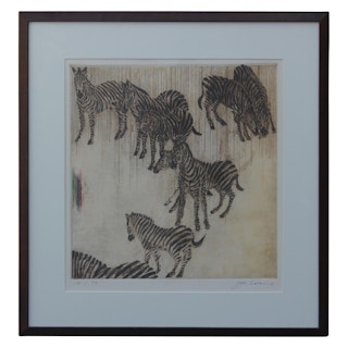 Scene Of a Rainbow And Zebras