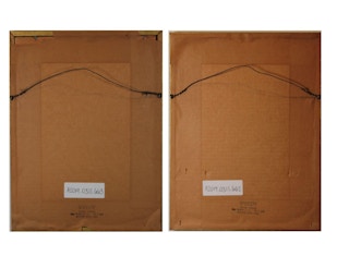 Georges Cuvier - Marine Shells and Oysters Engraving from 18th Century